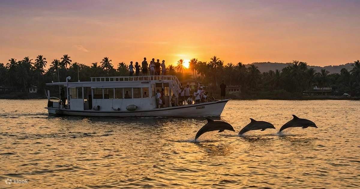 Devbag Dolphin Safari and Coastal Boat Tour