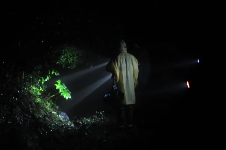 Amboli Herpetofauna Night Trail